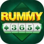 Rummy 365