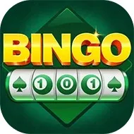 Bingo 101 New Game
