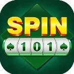 Spin 101